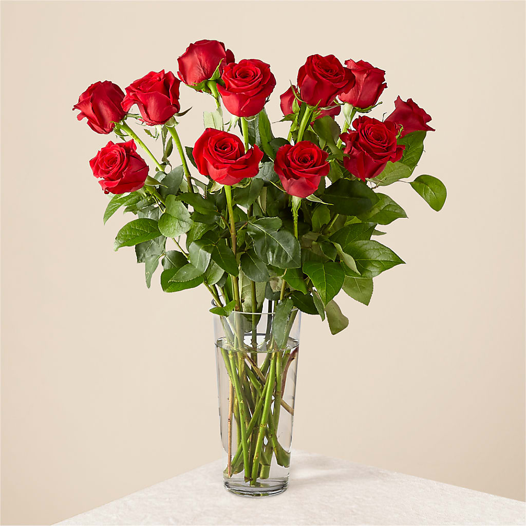 Long Stem Red Rose Bouquet – Bush Flower Shop, North Augusta SC