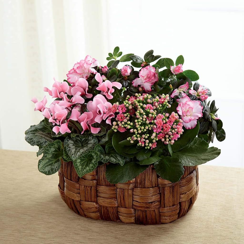 Pink Assortment – Bush Flower Shop, North Augusta SC