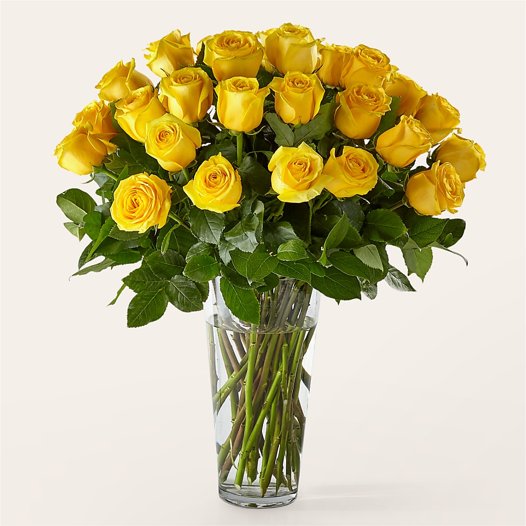 Long Stem Yellow Rose Bouquet – Bush Flower Shop, North Augusta SC