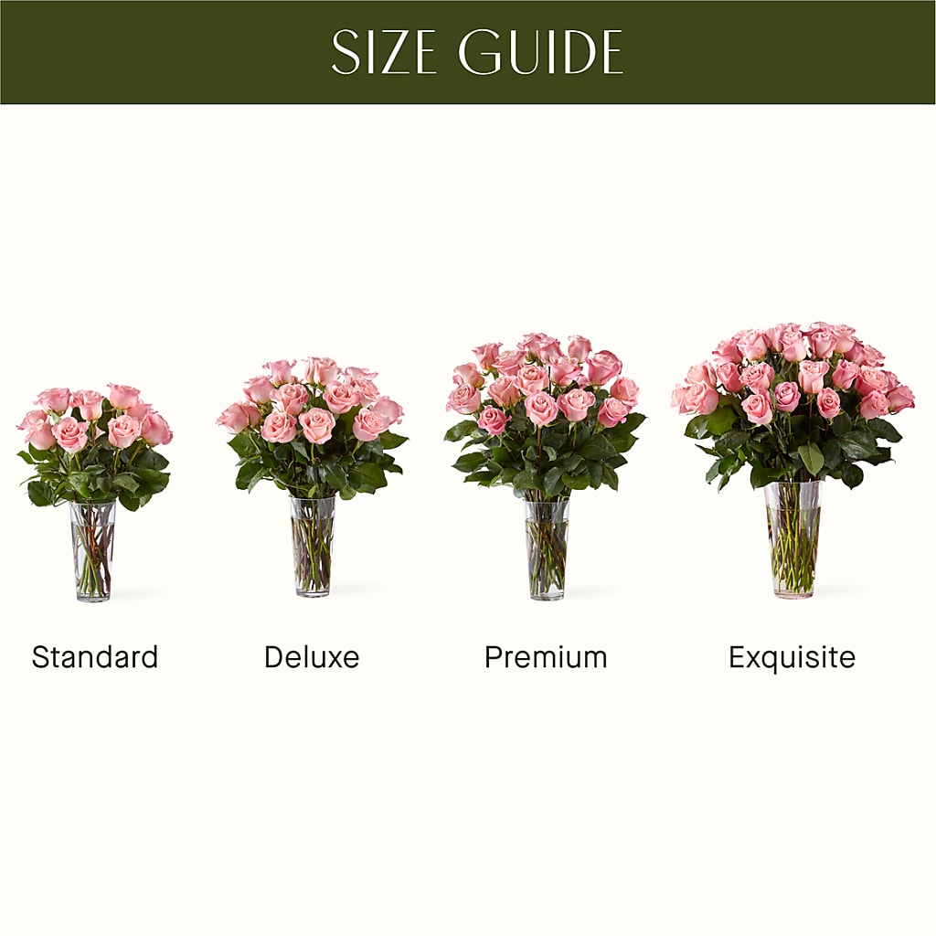 Long Stem Pink Rose Bouquet – Bush Flower Shop, North Augusta SC