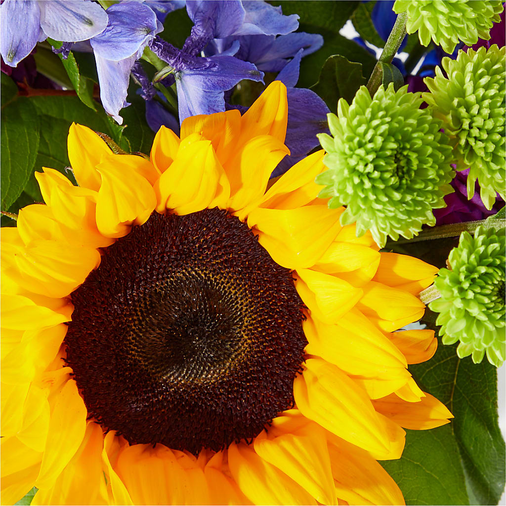 Catching Rays Bouquet – Bush Flower Shop, North Augusta SC