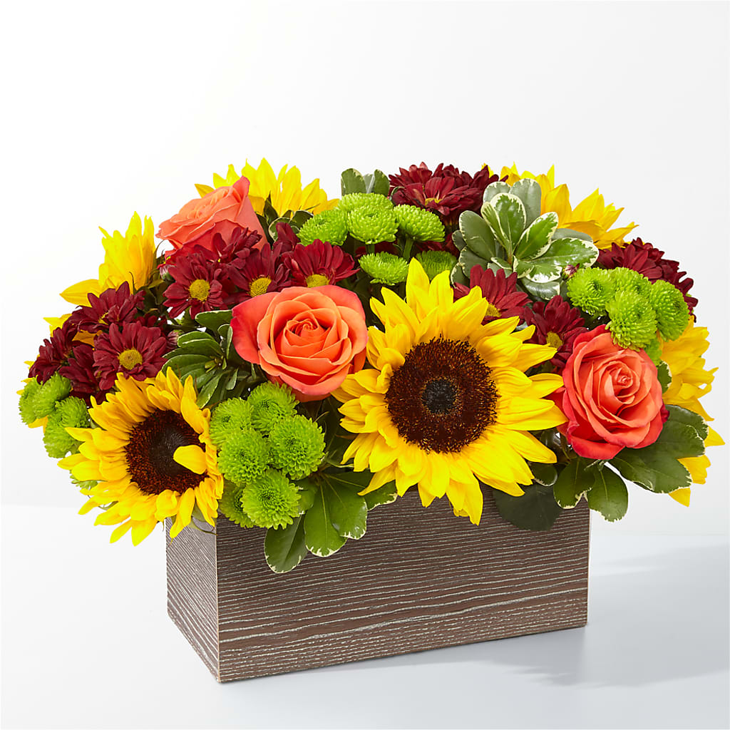 Happy Harvest Garden – Bush Flower Shop, North Augusta SC