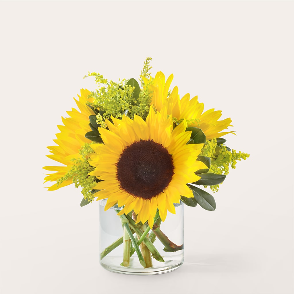 Beaming Sunflower Bouquet – Bush Flower Shop, North Augusta SC