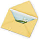 Greeting Card – Bush Flower Shop, North Augusta SC