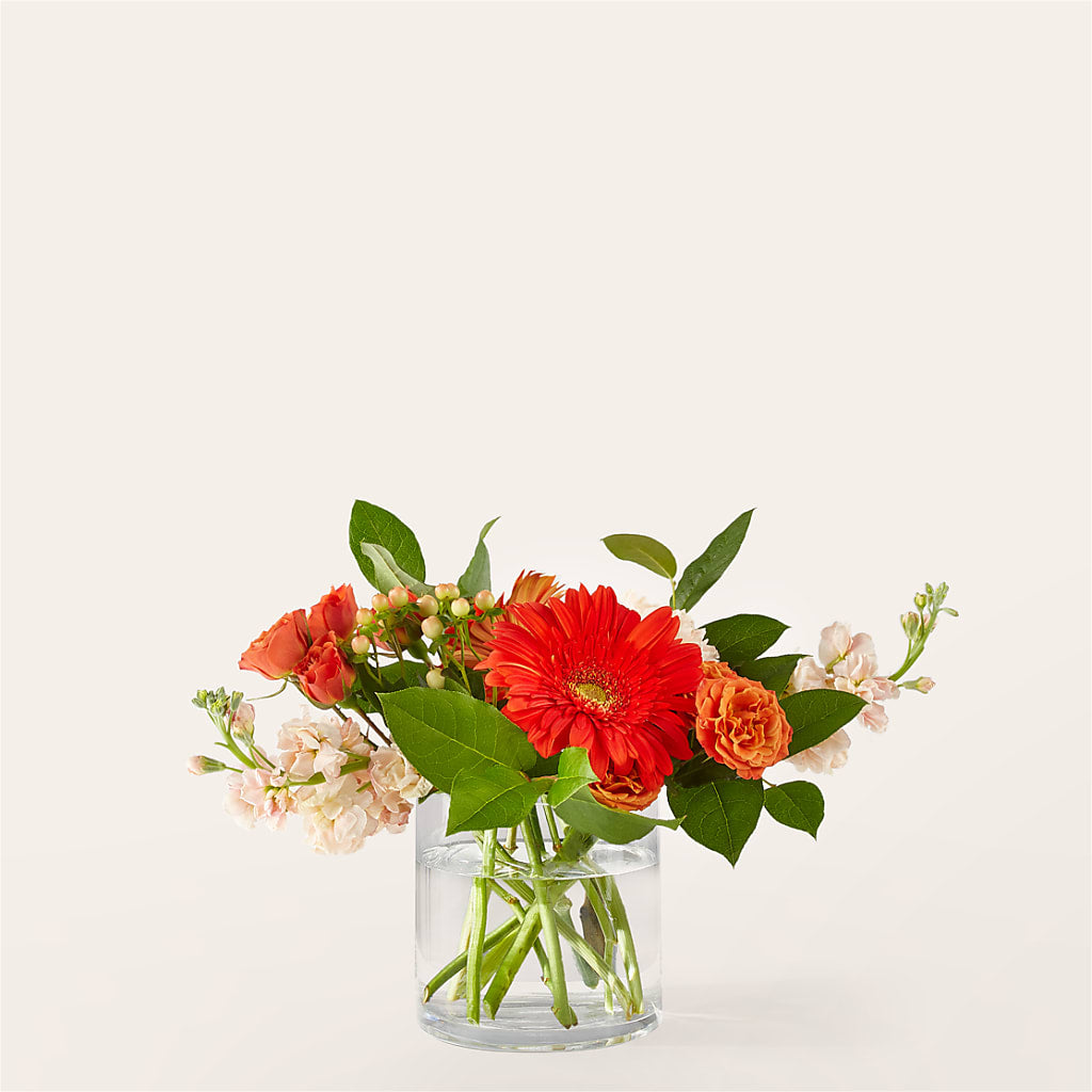 Paloma Please Bouquet – Bush Flower Shop, North Augusta SC