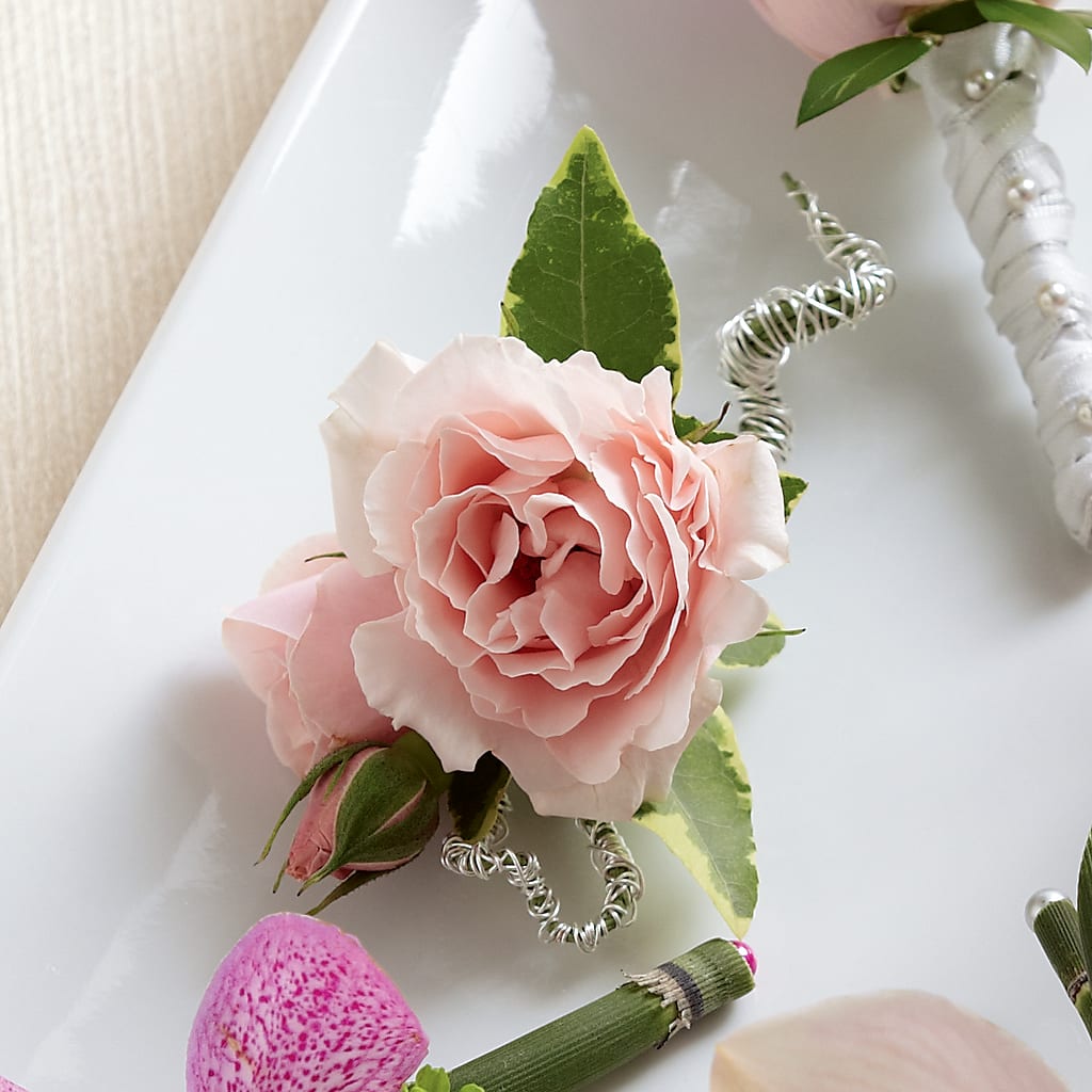 Pink Spray Rose Boutonniere – Bush Flower Shop, North Augusta SC