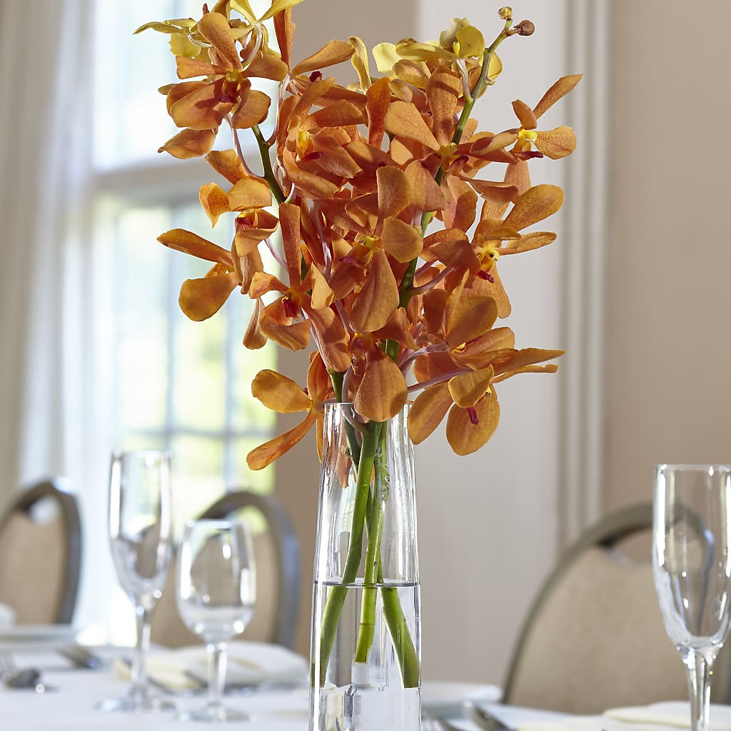 Orange Mokara Bud Vase – Bush Flower Shop, North Augusta SC