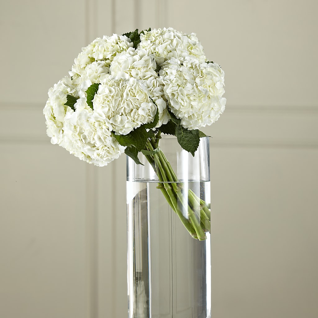White Hydrangea Hand-Tied Bouquet – Bush Flower Shop, North Augusta SC
