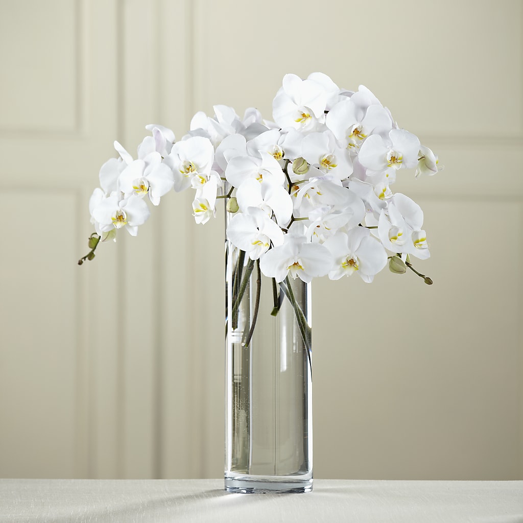 White Phalaenopsis Bouquet – Bush Flower Shop, North Augusta SC