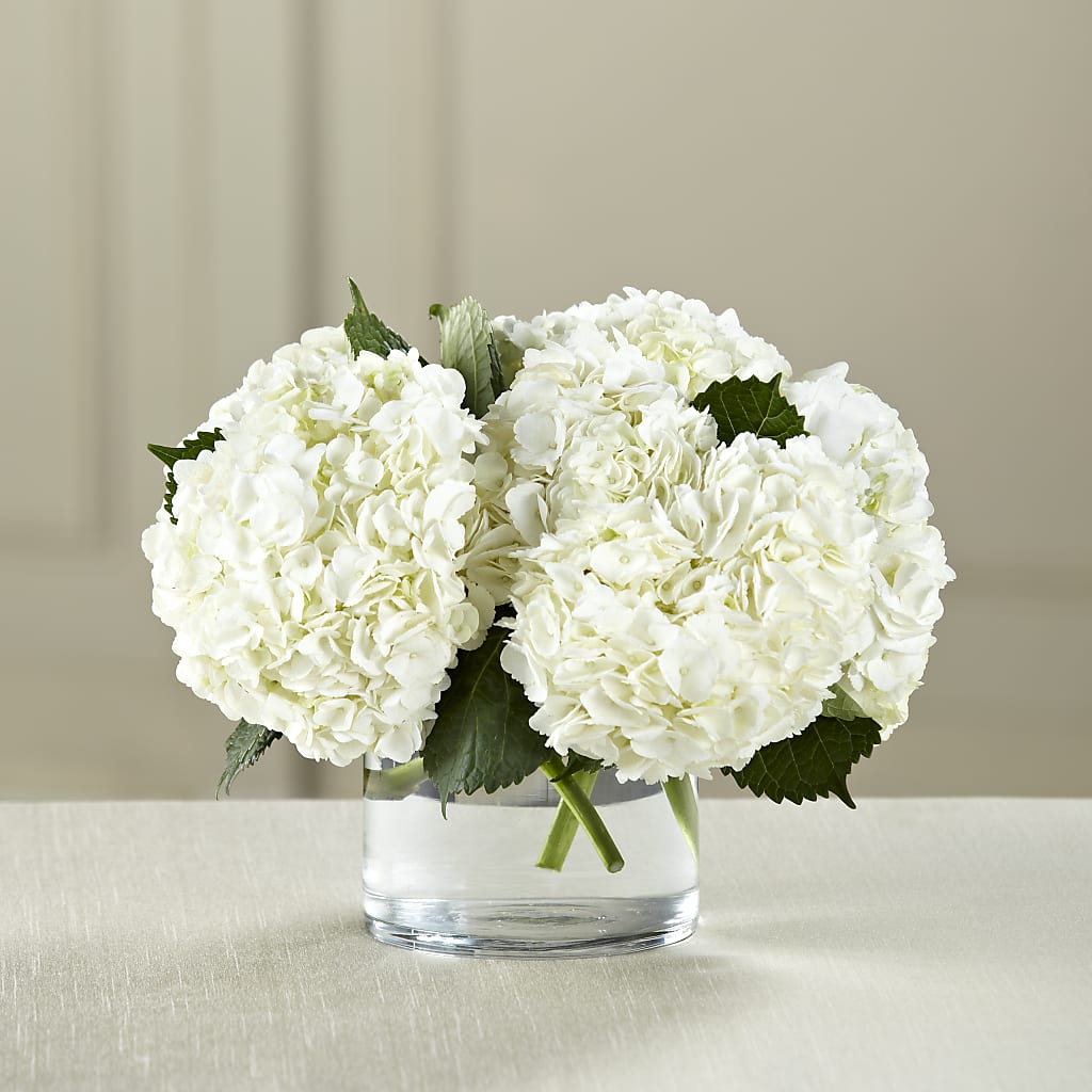 White Hydrangea Bouquet – Bush Flower Shop, North Augusta SC