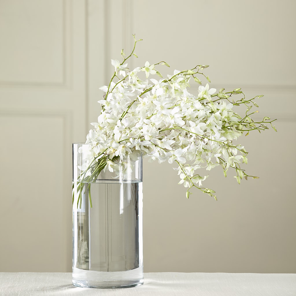 White Dendrobium Bouquet – Bush Flower Shop, North Augusta SC