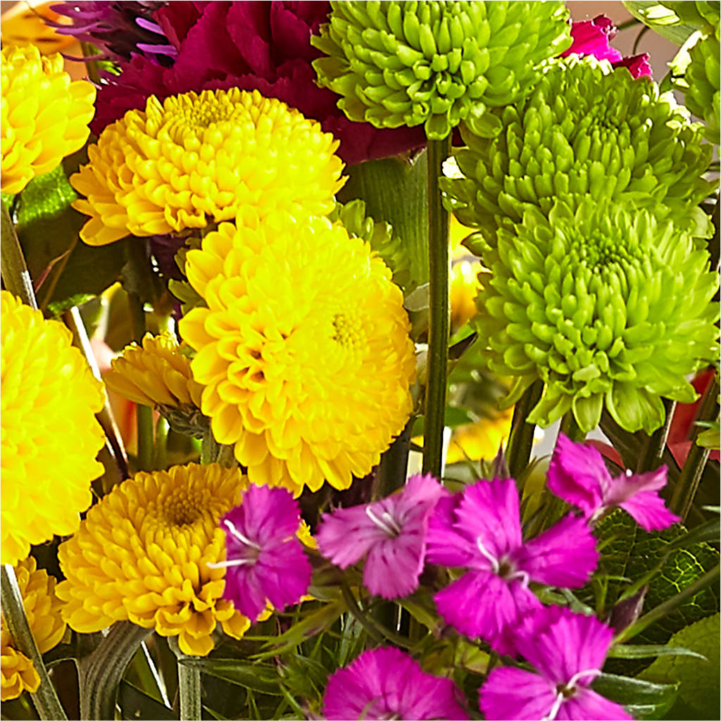 Bold & Bright – A Florist Original –  Bush Flower Shop, North Augusta SC
