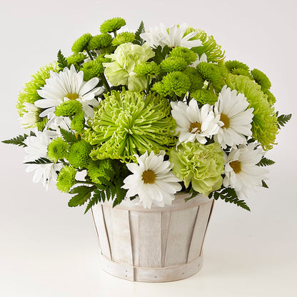 Lucky Charm Basket (Standard) –  Bush Flower Shop, North Augusta SC