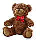 Adorable Plush Bear –  Bush Flower Shop, North Augusta SC