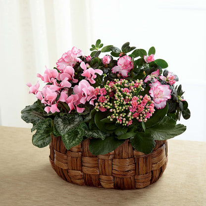 Pink Assortment –  Bush Flower Shop, North Augusta SC