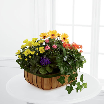 Gentle Blossoms Basket –  Bush Flower Shop, North Augusta SC