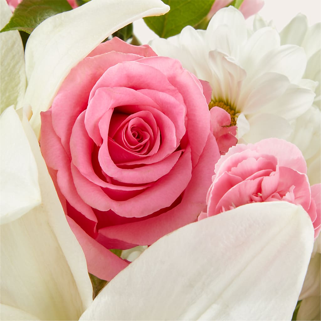 Whispers of Comfort Bouquet –  Bush Flower Shop, North Augusta SC