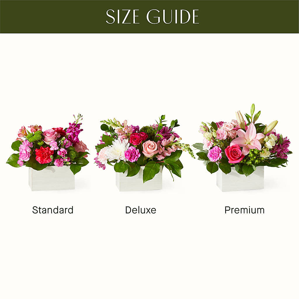 Sweetberry Box – A Florist Original –  Bush Flower Shop, North Augusta SC