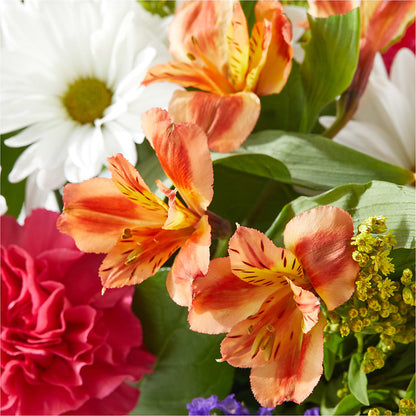 Oopsie Daisy Box Bouquet –  Bush Flower Shop, North Augusta SC