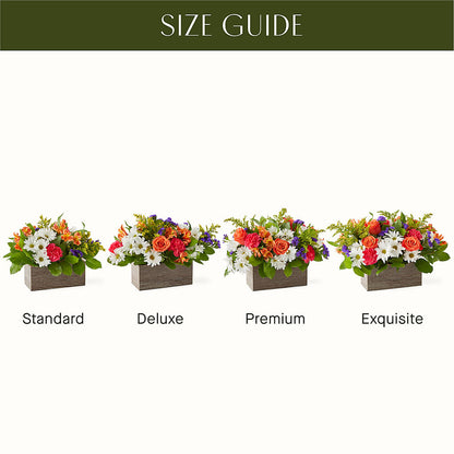 Oopsie Daisy Box Bouquet –  Bush Flower Shop, North Augusta SC