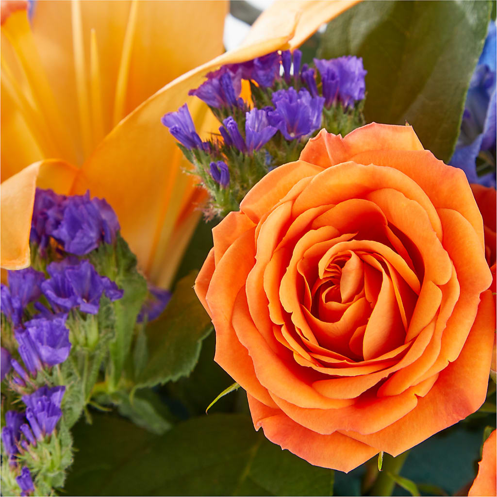 Radiant Citrus Box Bouquet –  Bush Flower Shop, North Augusta SC