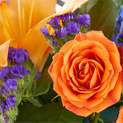 Radiant Citrus Box Bouquet –  Bush Flower Shop, North Augusta SC