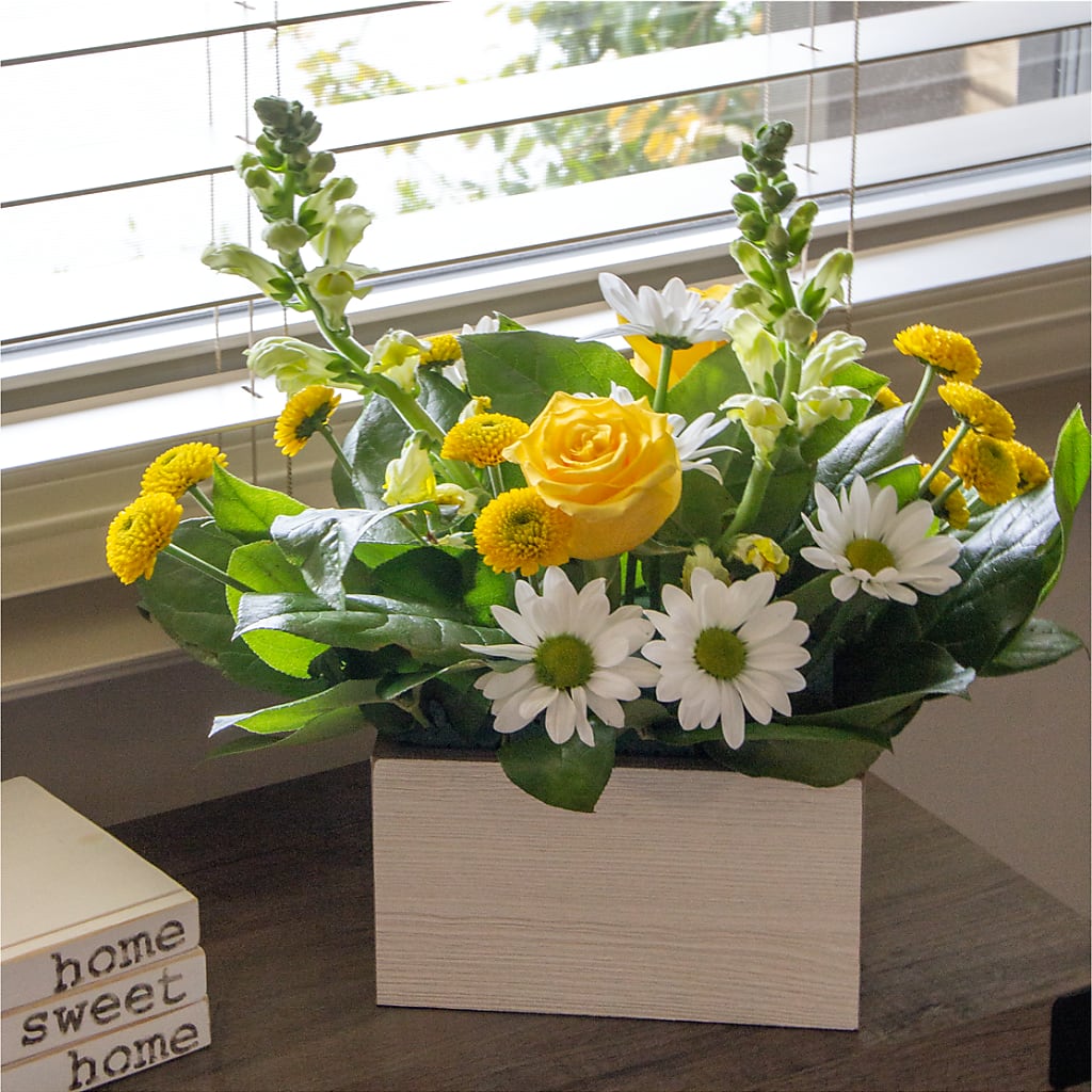 Sun Salutation Box Bouquet –  Bush Flower Shop, North Augusta SC