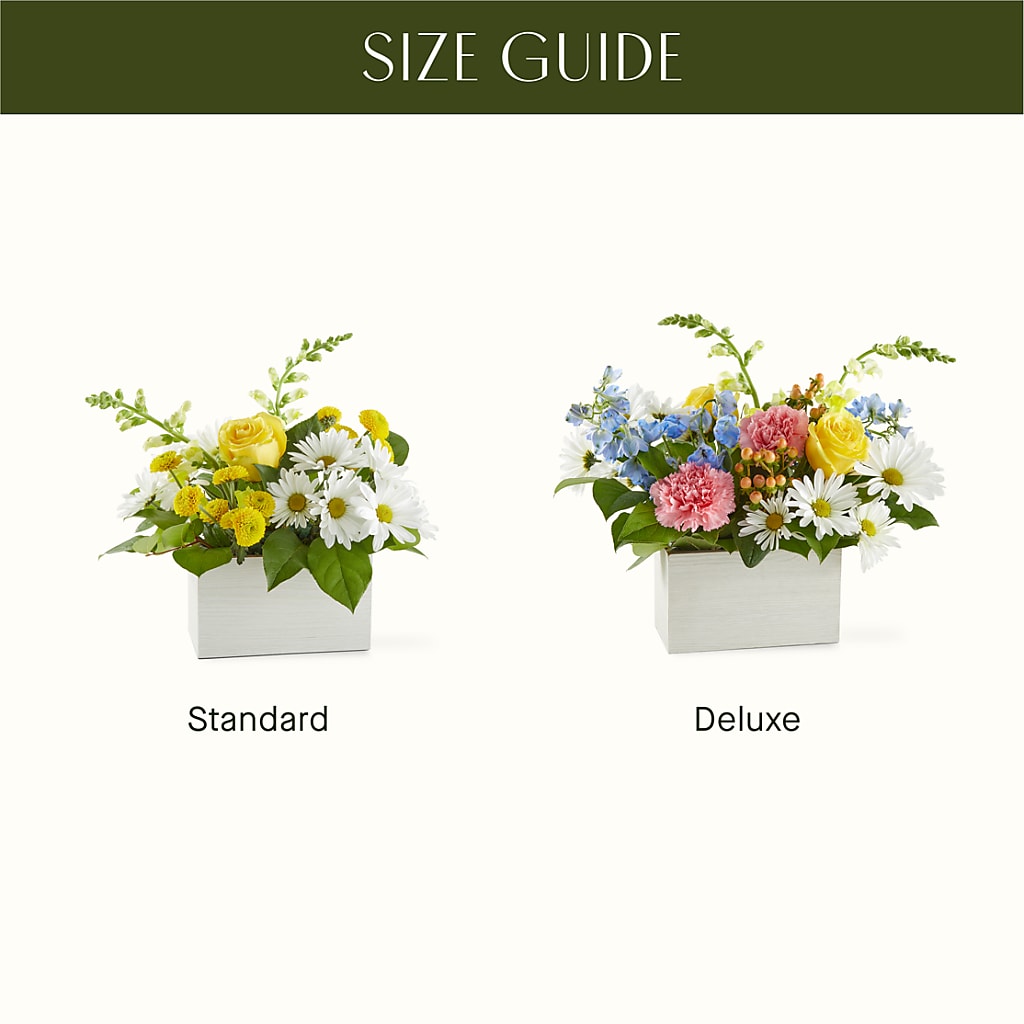 Sun Salutation Box Bouquet –  Bush Flower Shop, North Augusta SC