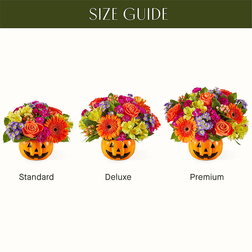 Tricks & Treats Pumpkin –  Bush Flower Shop, North Augusta SC
