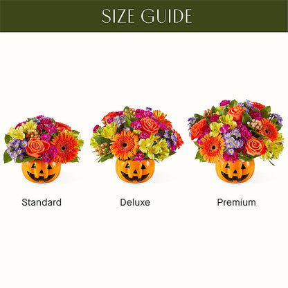 Tricks & Treats Pumpkin –  Bush Flower Shop, North Augusta SC