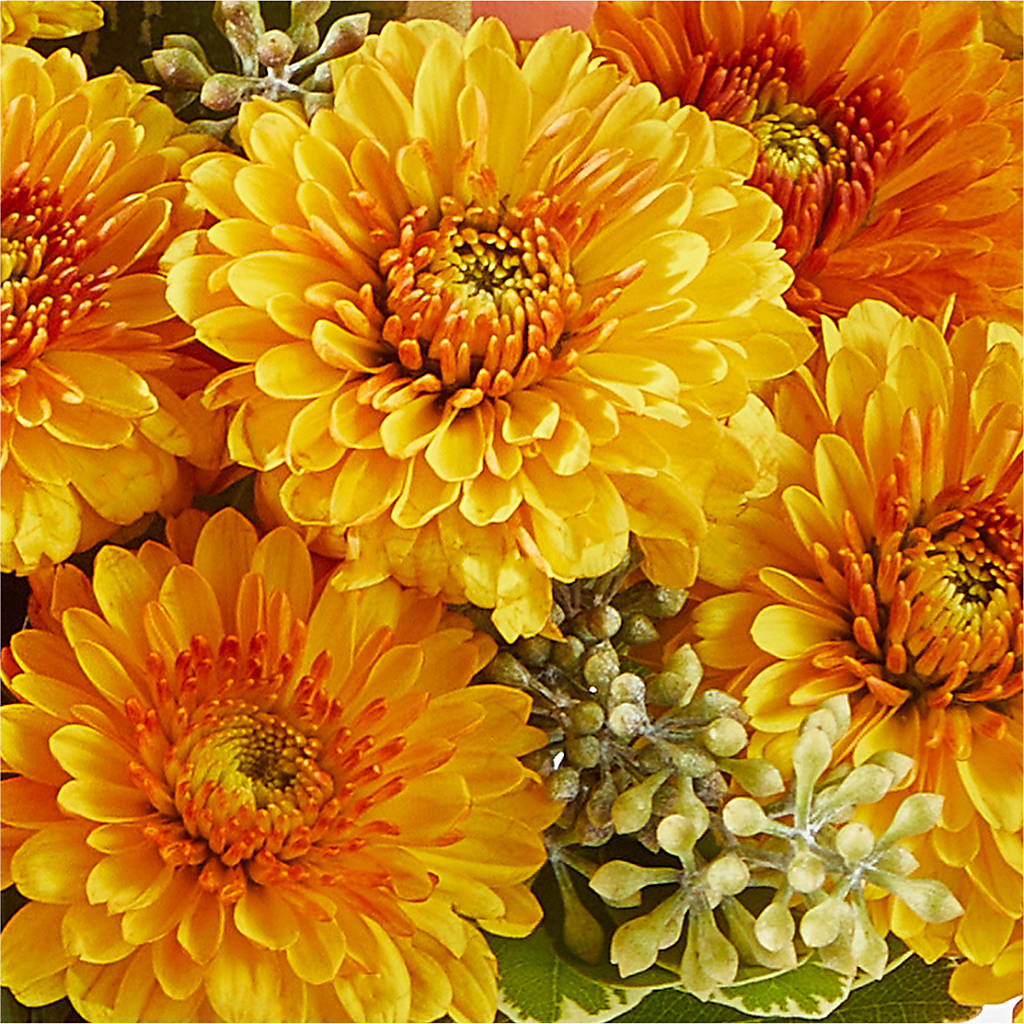 Peachy Pumpkin –  Bush Flower Shop, North Augusta SC