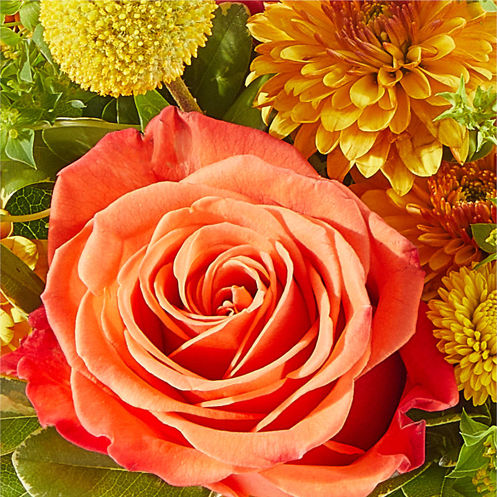 Gourdgeous Pumpkin –  Bush Flower Shop, North Augusta SC