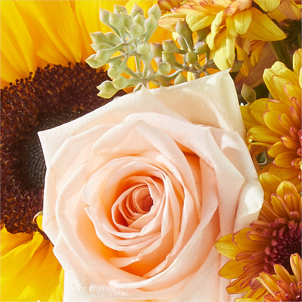 Pumpkin to Talk About Bouquet –  Bush Flower Shop, North Augusta SC