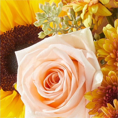 Pumpkin to Talk About Bouquet –  Bush Flower Shop, North Augusta SC