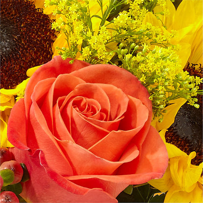 Pick of the Patch Pumpkin Bouquet –  Bush Flower Shop, North Augusta SC