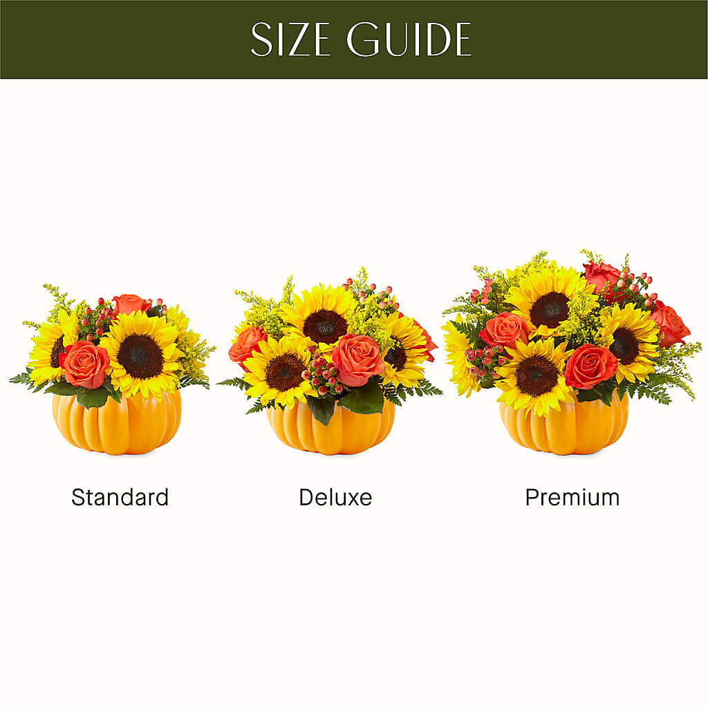 Pick of the Patch Pumpkin Bouquet –  Bush Flower Shop, North Augusta SC