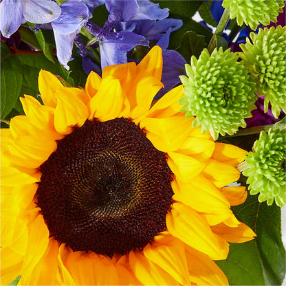 Catching Rays Bouquet –  Bush Flower Shop, North Augusta SC