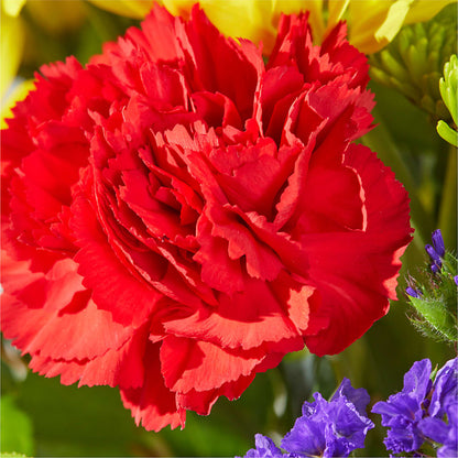 Brighter Days Bouquet –  Bush Flower Shop, North Augusta SC
