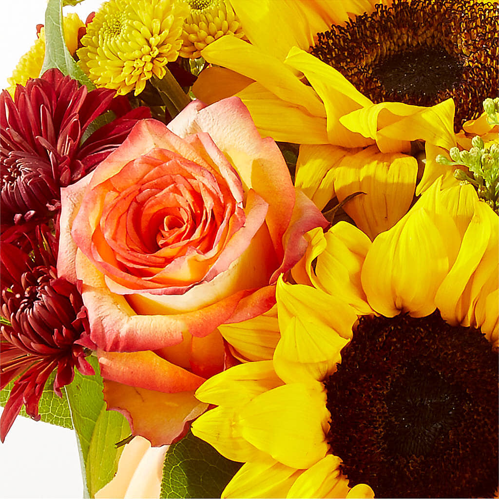 Golden Gourd Pumpkin Bouquet –  Bush Flower Shop, North Augusta SC