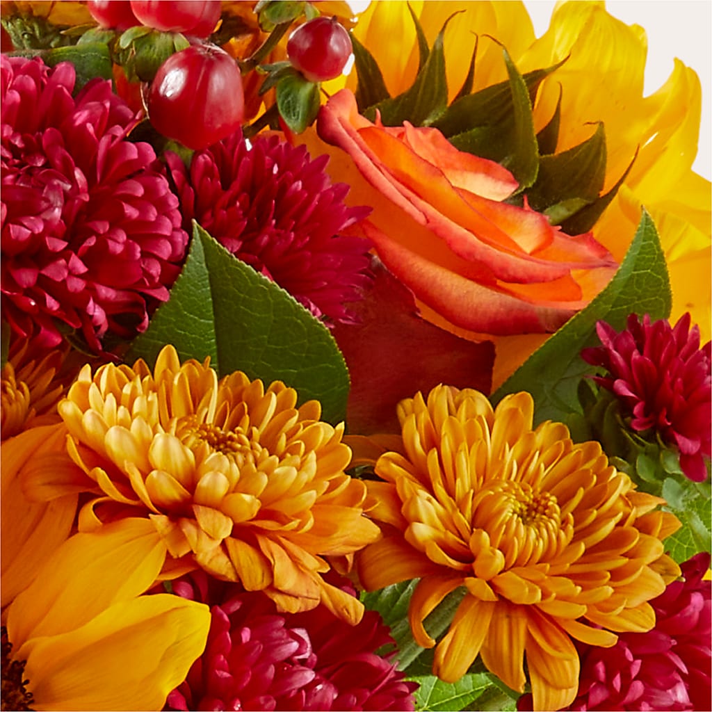 Sweater Season - A Florist Original –  Bush Flower Shop, North Augusta SC