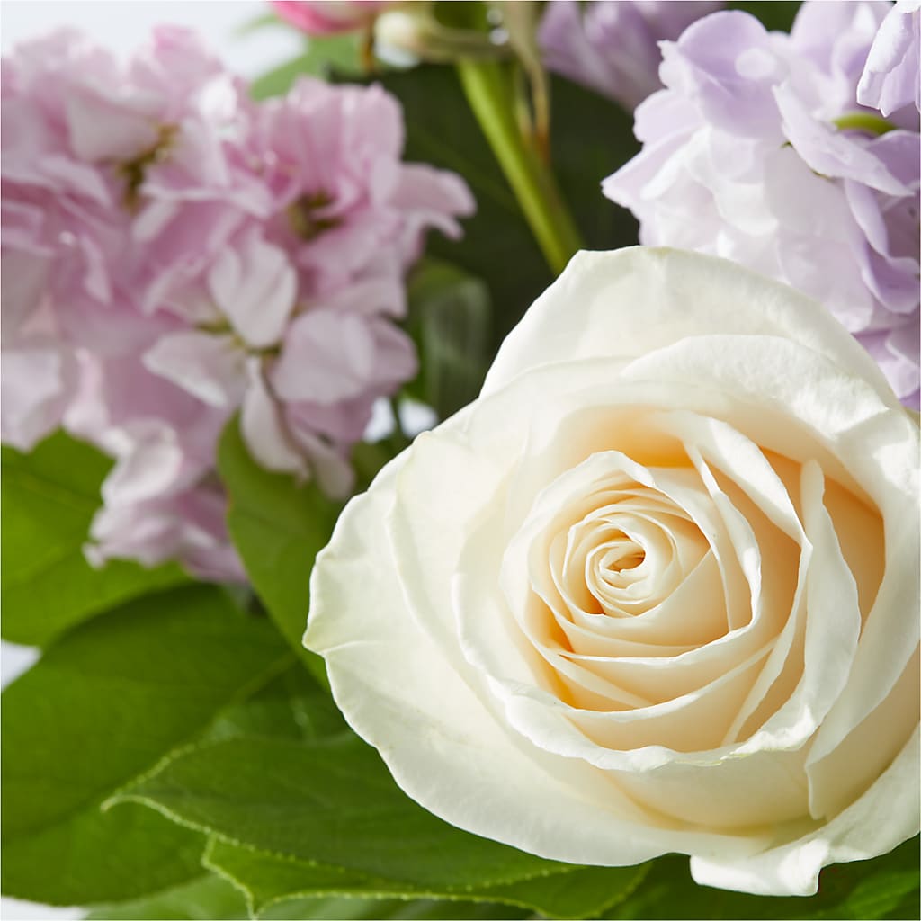 Springtime Spritz Bouquet –  Bush Flower Shop, North Augusta SC