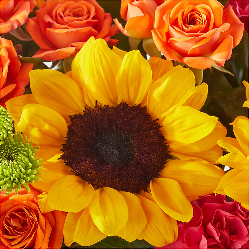 Sun-drenched Blooms Box Bouquet –  Bush Flower Shop, North Augusta SC