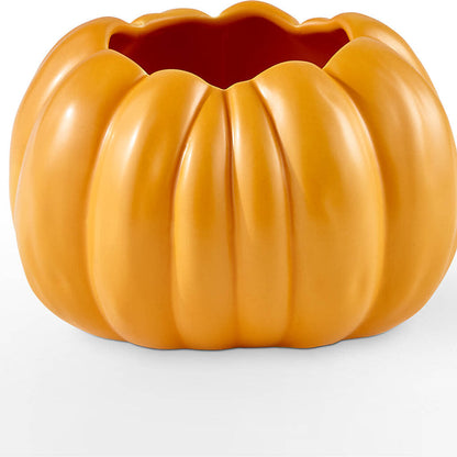 Pick of the Patch Pumpkin Bouquet –  Bush Flower Shop, North Augusta SC