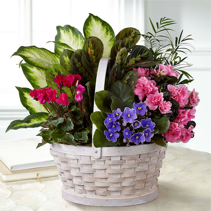 Peaceful Garden Planter –  Bush Flower Shop, North Augusta SC