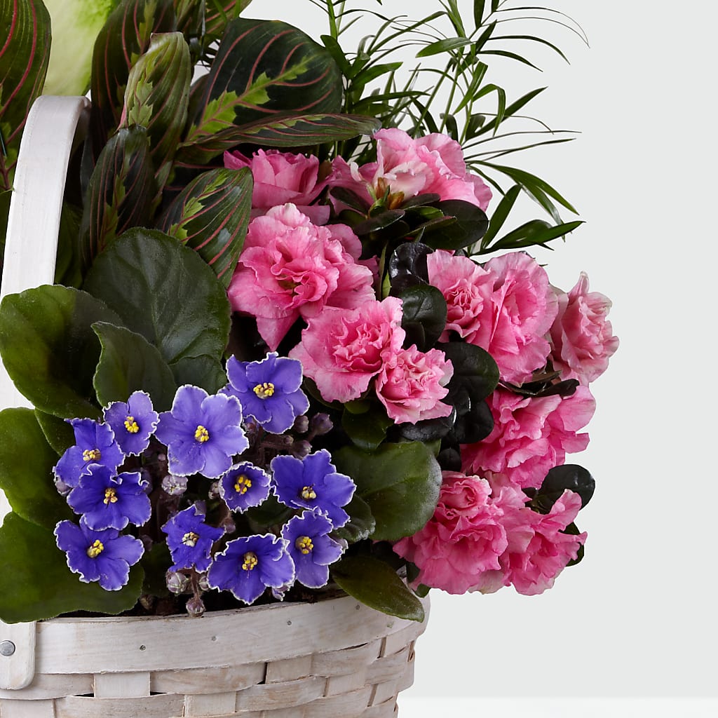 Peaceful Garden Planter –  Bush Flower Shop, North Augusta SC