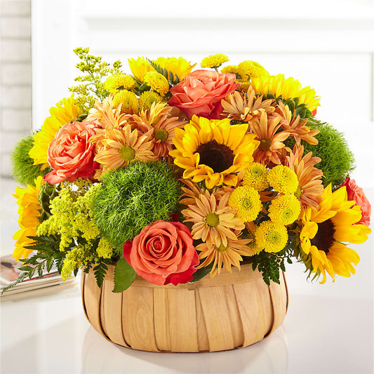 Harvest Sunflower Basket – BUSH FLOWER SHOP, North Augusta SC