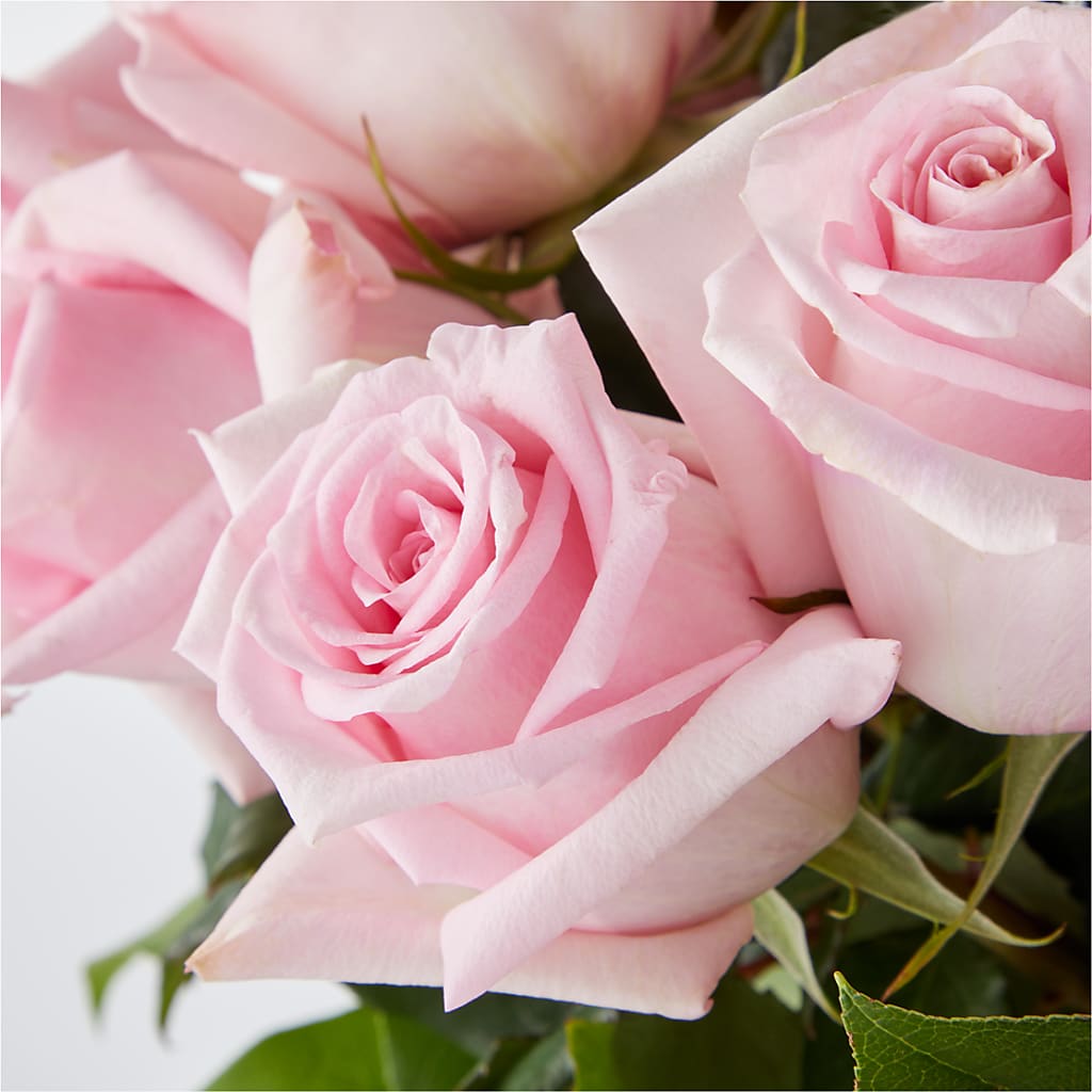 Picture Perfect Pink Rose Bouquet –  Bush Flower Shop, North Augusta SC