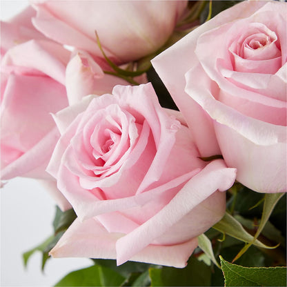 Picture Perfect Pink Rose Bouquet –  Bush Flower Shop, North Augusta SC