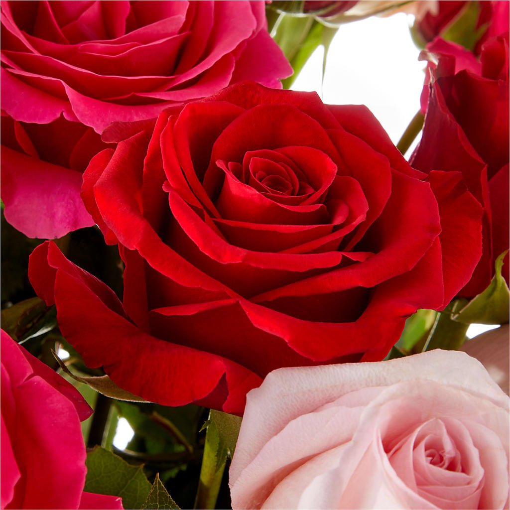 Love Notes Rose Bouquet –  Bush Flower Shop, North Augusta SC