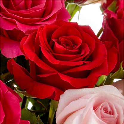 Love Notes Rose Bouquet –  Bush Flower Shop, North Augusta SC
